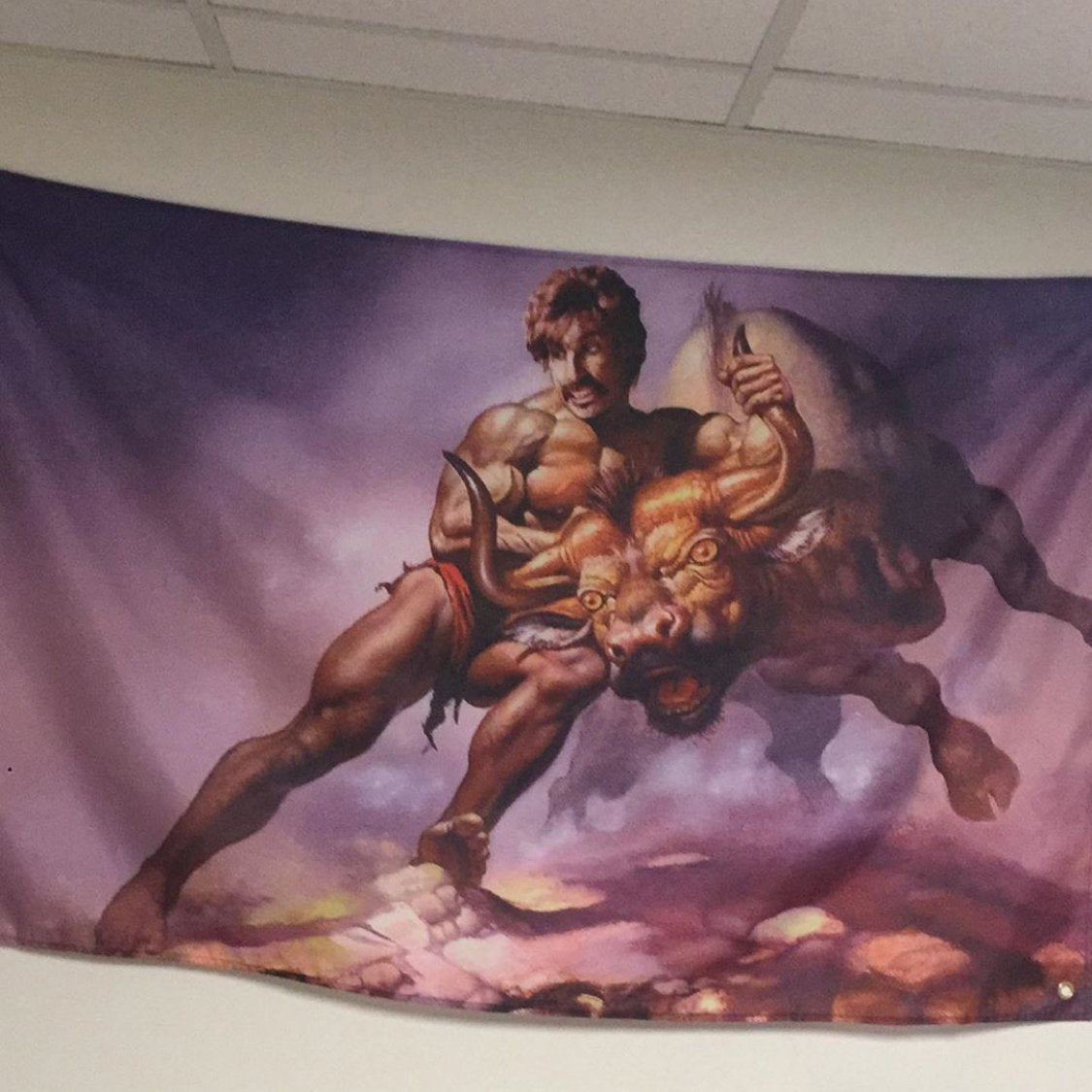 Bull By The Horns Flag Dodgeball