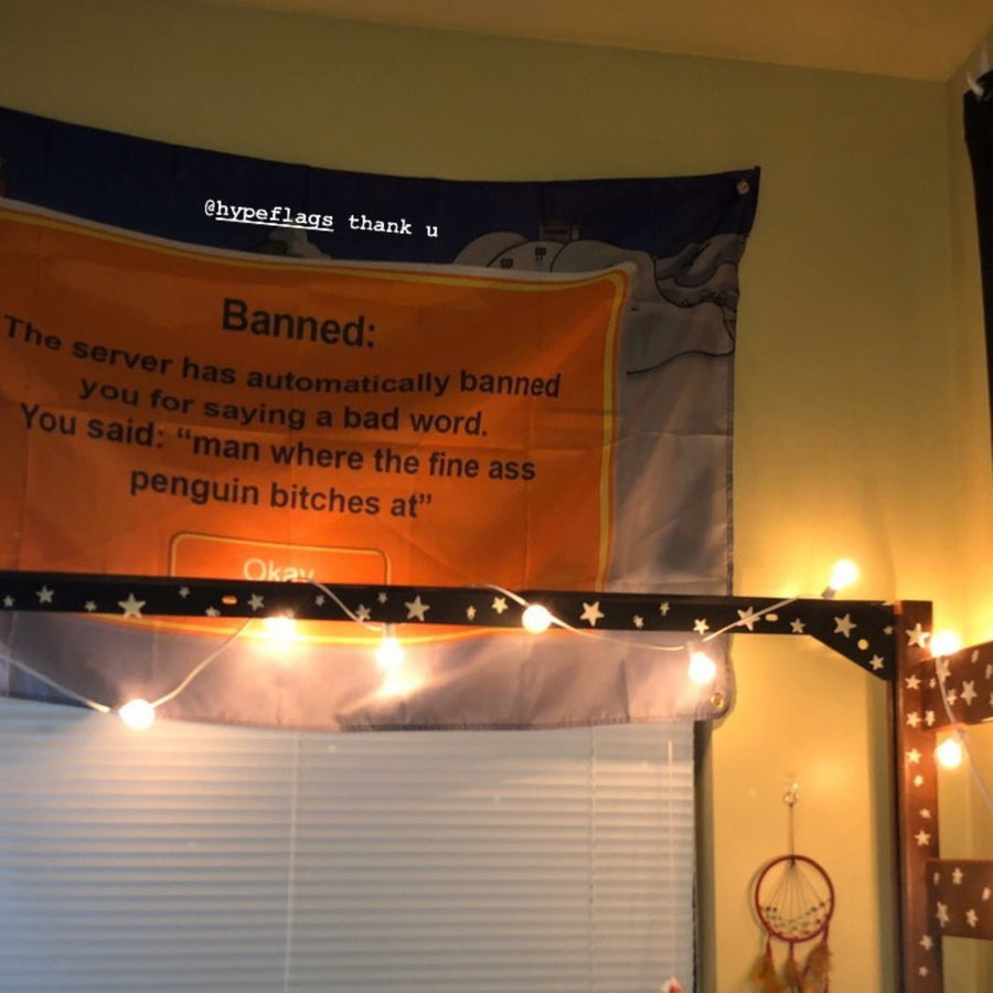 Club Penguin Banned Tapestry