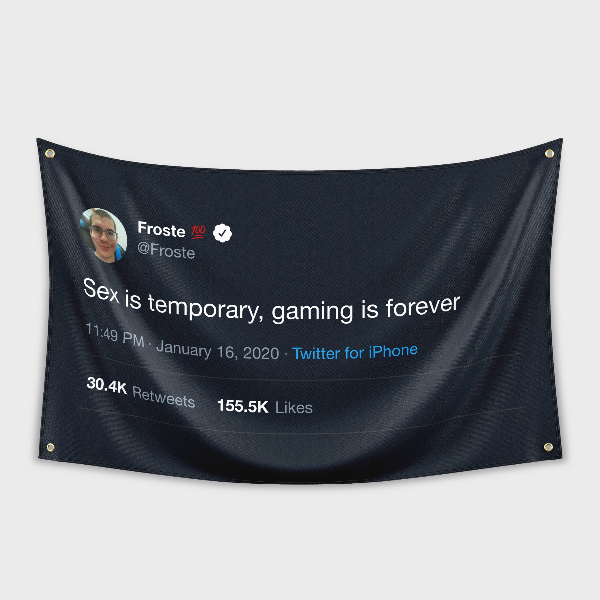 Hype Flags - Sex is temporary, gaming is forever | 100T Froste – HypeFlags